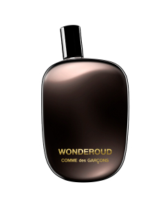 Comme Des Garcons Wonderoud EDP 100ml