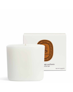 diptyque Premium Scented Candle Refill - Terres Blondes 220g