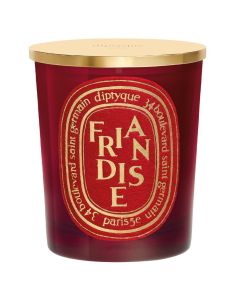 Diptyque Holiday Friandise (Treat) Scented Candle