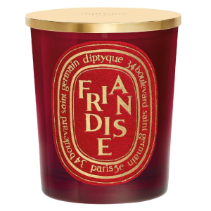 Diptyque Holiday Friandise (Treat) Scented Candle