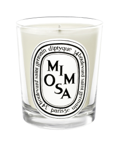 diptyque Candle Mimosa