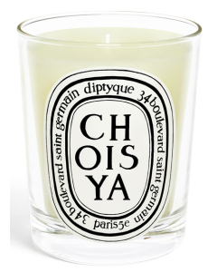 diptyque Standard Candle Choisya 190g