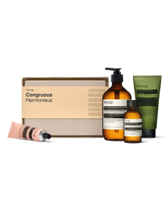 AESOP Congruous Hand & Body Care Kit
