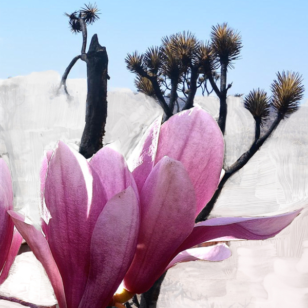 Byredo Mojave Ghost Hair Perfume 75ml