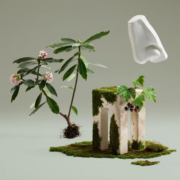 Penhaligon's Daphne Bouquet EDP 100ml