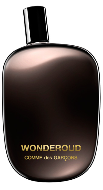 Comme des garcons 2025 wonderoud eau de parfum