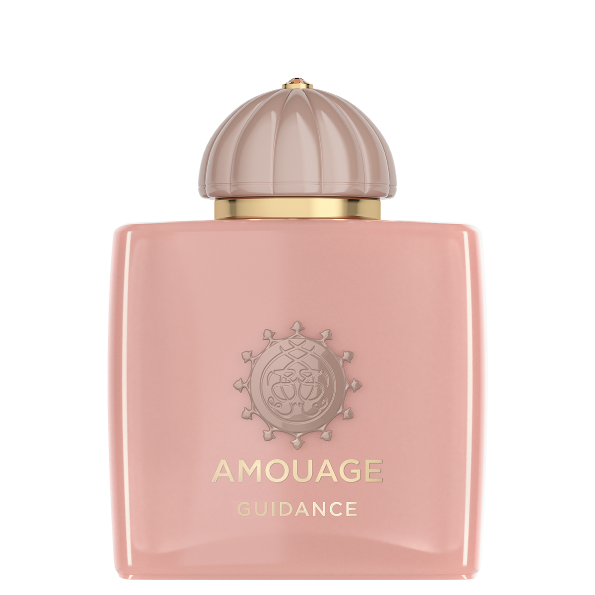 Amouage Guidance Eau de Parfum 100ml