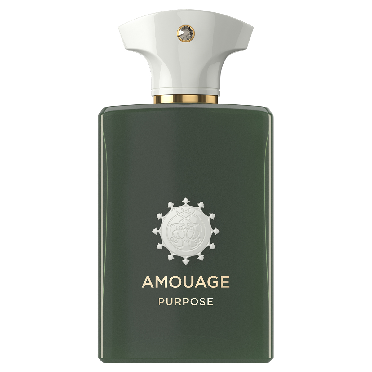 Amouage Purpose Eau de Parfum 100ml