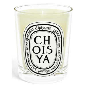 diptyque Standard Candle Choisya 190g