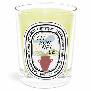 diptyque Citronnelle Candle 190g - Limited Edition