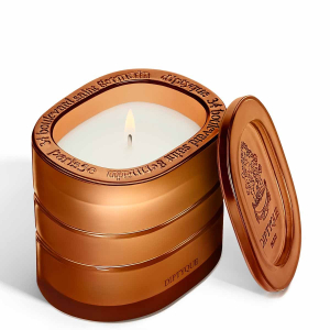 diptyque Premium Scented Candle - Terres Blondes 220g