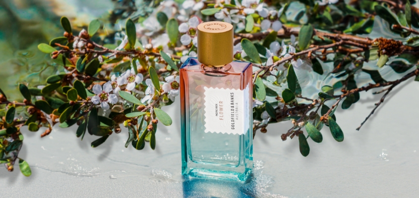 GoldfieldsBanks_PacificRockFlower_Curated-by-brands_845x400_2_