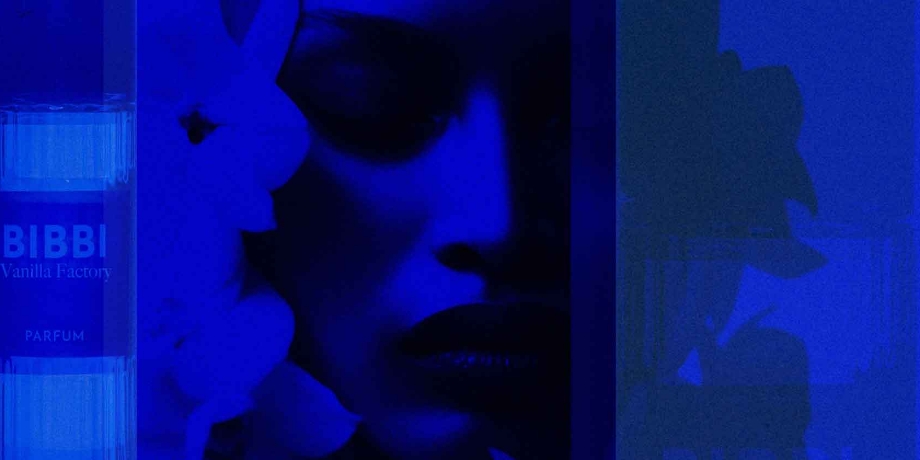 Bibbi_VanillaFactory_Stories1_920x460